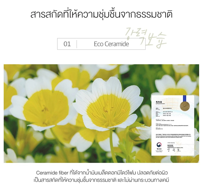 คลีนซิ่งออยล์ Round Lab Soybean Cleansing Oil