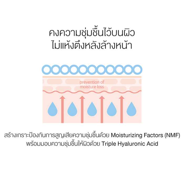 คลีนเซอร์ Round Lab 1025 Dokdo Cleanser