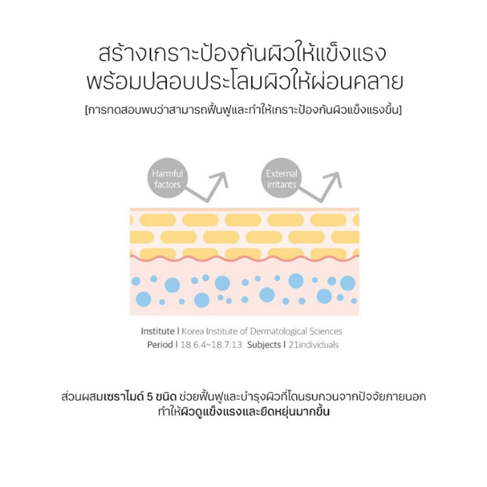 ครีมบำรุงเนื้อบาล์ม Round Lab 1025 Dokdo Cream