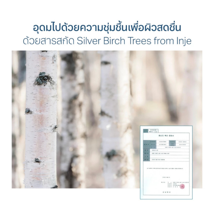 แอมพูล Round Lab Birch Juice Moisturizing Ampoule แอมพูล Round Lab Birch Juice Moisturizing Ampoule