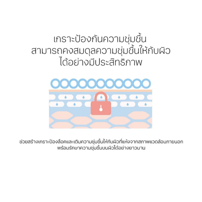 โทนเนอร์แอมพูลเบิร์ชแซป Round Lab Birch Juice Moisturizing Toner โทนเนอร์แอมพูลเบิร์ชแซป Round Lab Birch Juice Moisturizing Toner