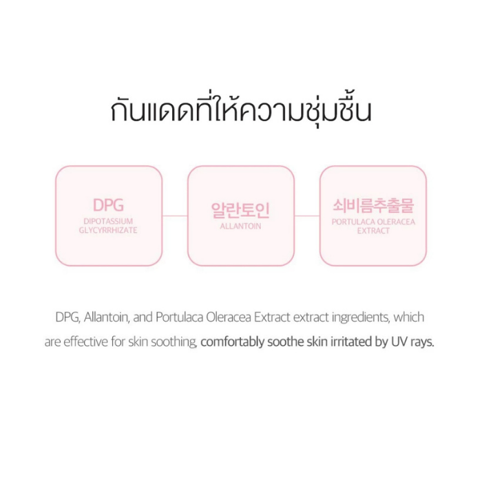 กันแดดโทนอัพ Round Lab Birch Juice Moisturizing Tone-Up Sunscreen SPF50+ PA++++ กันแดดโทนอัพ Round Lab Birch Juice Moisturizing Tone-Up Sunscreen SPF50+ PA++++