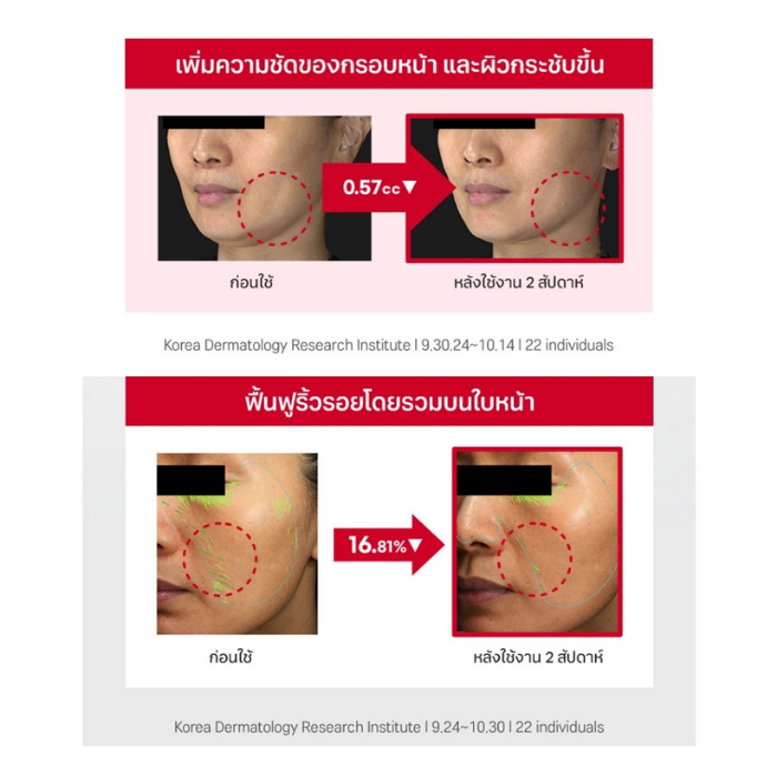 ครีมลดริ้วรอย Round Lab Camellia Deep Collagen Firming Cream ครีมลดริ้วรอย Round Lab Camellia Deep Collagen Firming Cream