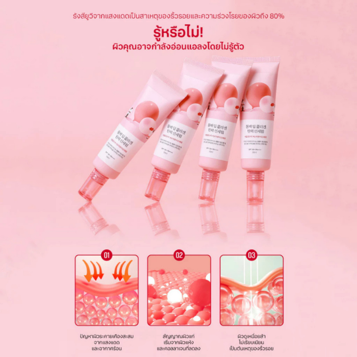 กันแดดคาเมเลีย Round Lab Camellia Deep Collagen Firming Sun Serum SPF 50+ PA++++ กันแดดคาเมเลีย Round Lab Camellia Deep Collagen Firming Sun Serum SPF 50+ PA++++