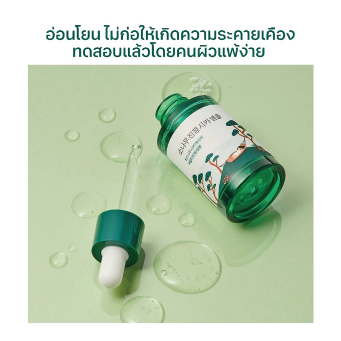 แอมพูล Round Lab Pine Calming Cica Ampoule แอมพูล Round Lab Pine Calming Cica Ampoule