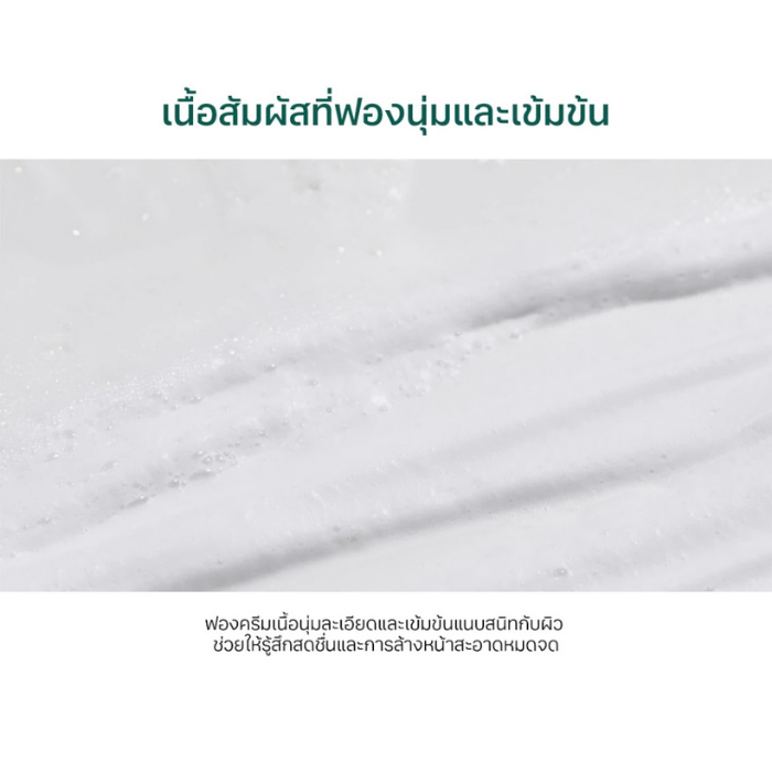 เจลล้างหน้า Round Lab Pine Calming Cica Cleanser เจลล้างหน้า Round Lab Pine Calming Cica Cleanser