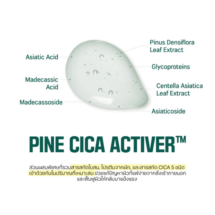 ครีมบำรุงผิวหน้า Round Lab Pine Calming Cica Cream ครีมบำรุงผิวหน้า Round Lab Pine Calming Cica Cream