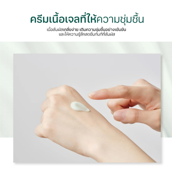 ครีมบำรุงผิวหน้า Round Lab Pine Calming Cica Cream ครีมบำรุงผิวหน้า Round Lab Pine Calming Cica Cream