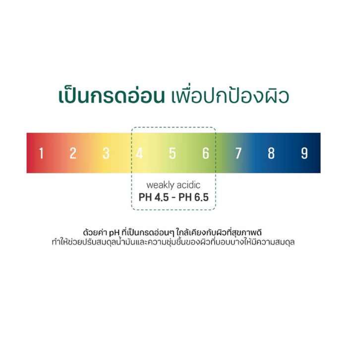 โทนเนอร์ Round Lab Pine Calming Cica Toner โทนเนอร์ Round Lab Pine Calming Cica Toner