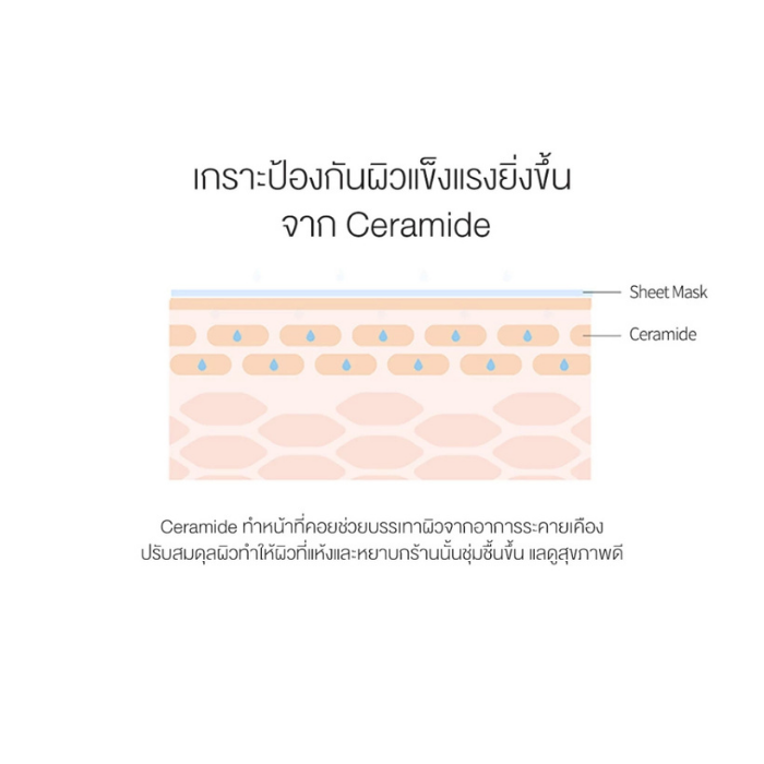 มาส์กถั่วเหลืองดำ Round Lab Soybean Nourishing Mask มาส์กถั่วเหลืองดำ Round Lab Soybean Nourishing Mask
