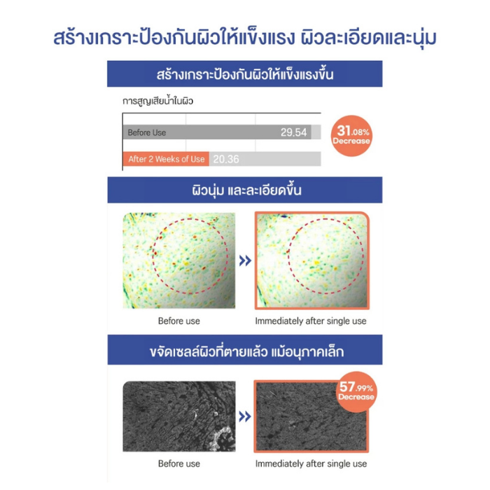 แอมพูล Round Lab Soybean Panthenol Ampoule แอมพูล Round Lab Soybean Panthenol Ampoule