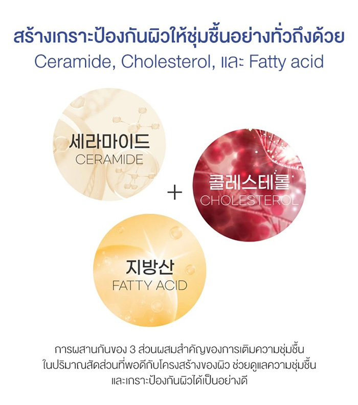 ครีมบำรุงผิวหน้า Round Lab Soybean Panthenol Cream