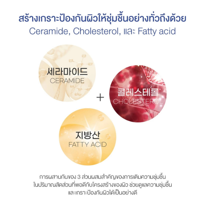 มาส์กชีท Round Lab Soybean Panthenol Mask มาส์กชีท Round Lab Soybean Panthenol Mask