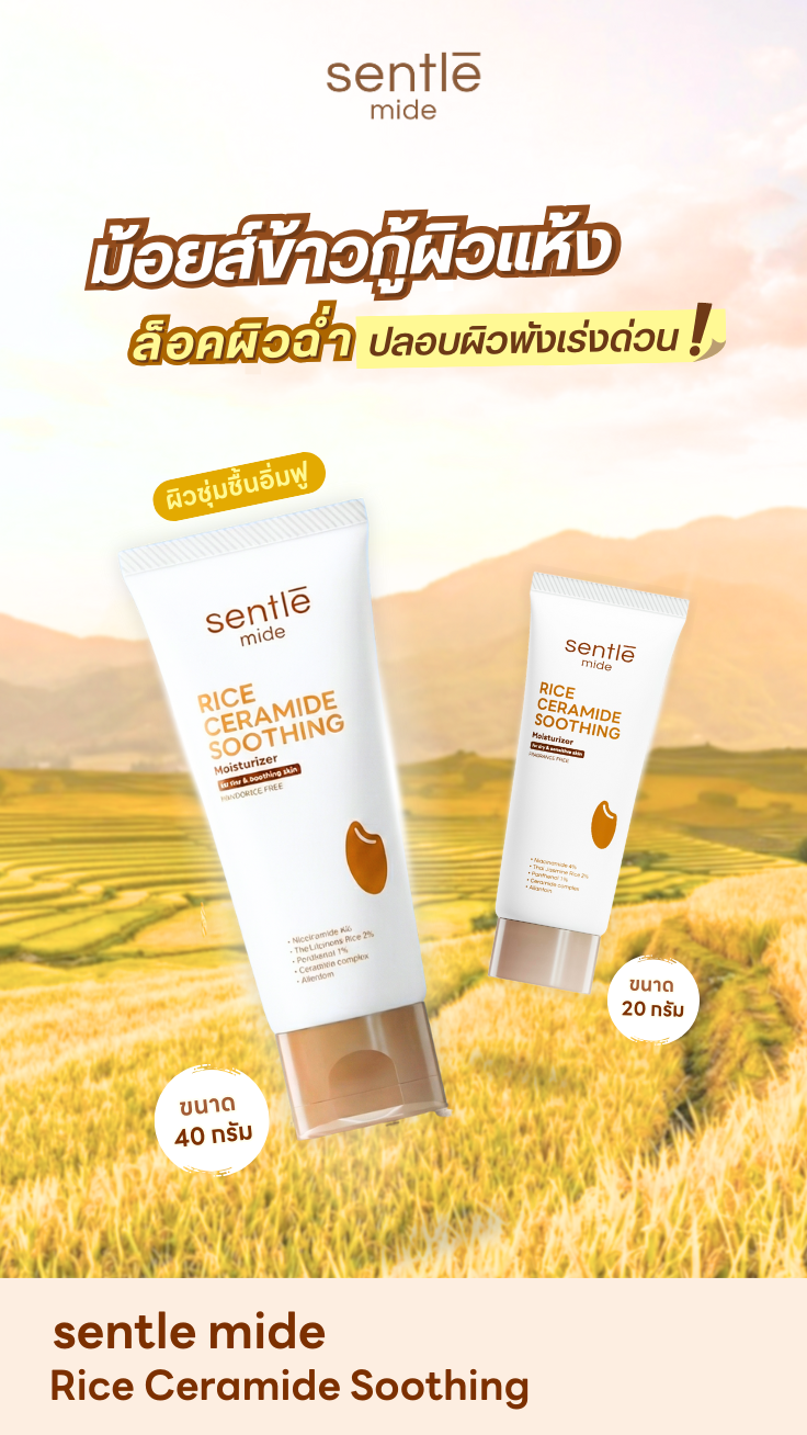 มอยส์เจอร์ไรเซอร์ sentle mide Rice Ceramide Soothing