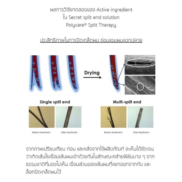 เซรั่มบำรุงผม Skin Syrup Secret Split End Solution