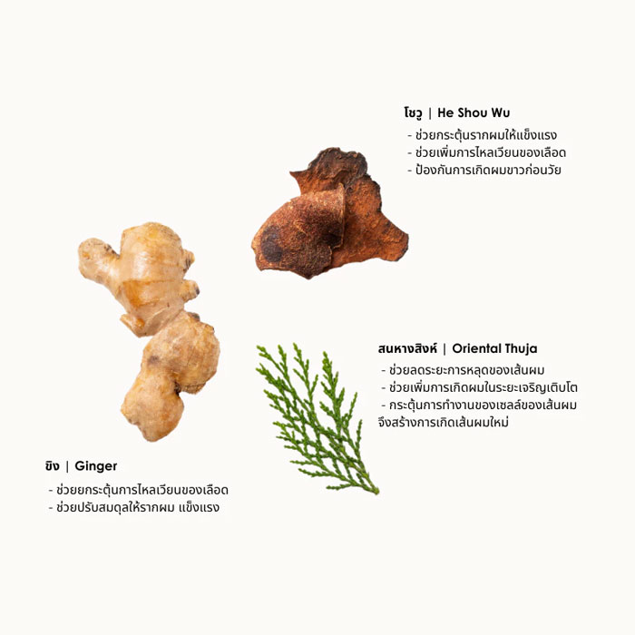 ครีมนวดผม Skin Syrup Abracadabra Anti-Hair Fall Conditioner