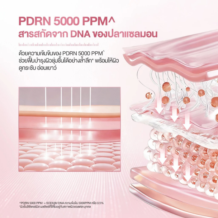 มอยส์เจอร์ไรเซอร์ SKINTIFIC PDRN Bright & Smooth Moisture Gel มอยส์เจอร์ไรเซอร์ SKINTIFIC PDRN Bright & Smooth Moisture Gel