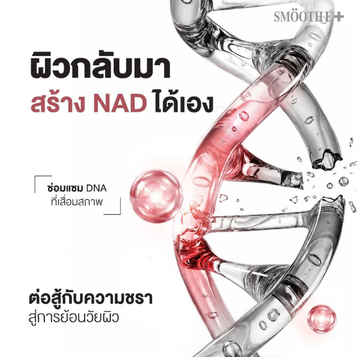 ครีมบำรุงผิว Smooth E NAD+ Cream ครีมบำรุงผิว Smooth E NAD+ Cream