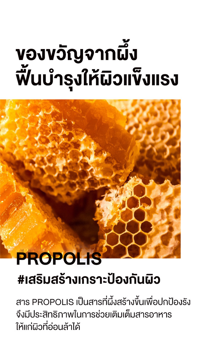 Some By Mi Propolis B5 Glow Barrier Calming Toner โทนเนอร์