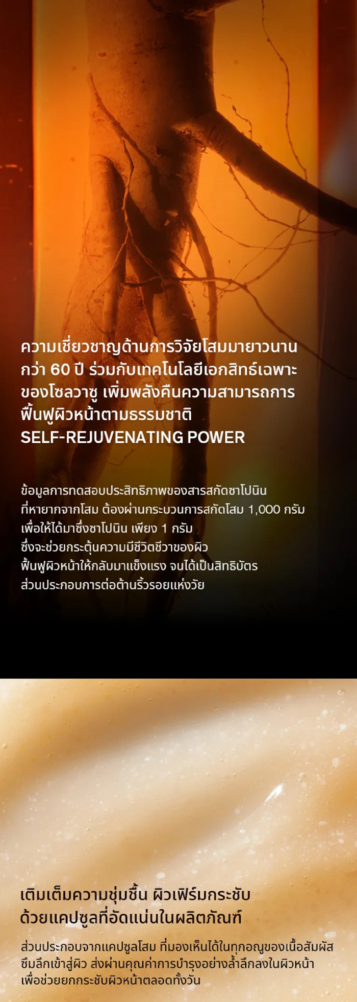เซรั่ม Sulwhasoo Concentrated Ginseng Rejuvenating Serum