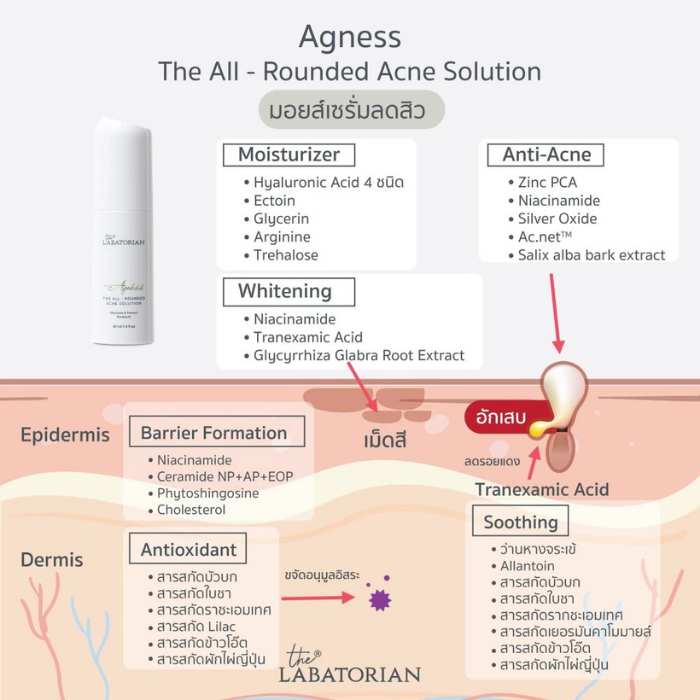 เซรั่มลดสิว The Labatorian Agnéss The All-Rounded Solution เซรั่มลดสิว The Labatorian Agnéss The All-Rounded Solution