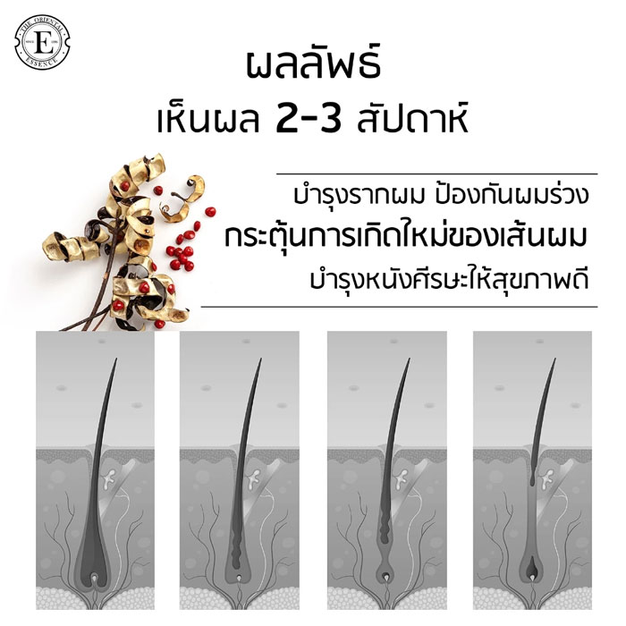 สเปรย์บำรุงผม The Oriental Essence Sandalwood Root Hair Growth Boost Serum