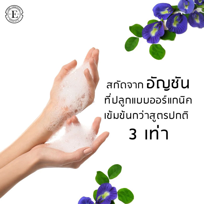 แชมพู The Oriental Essence Clitoria Ternatea Shampoo