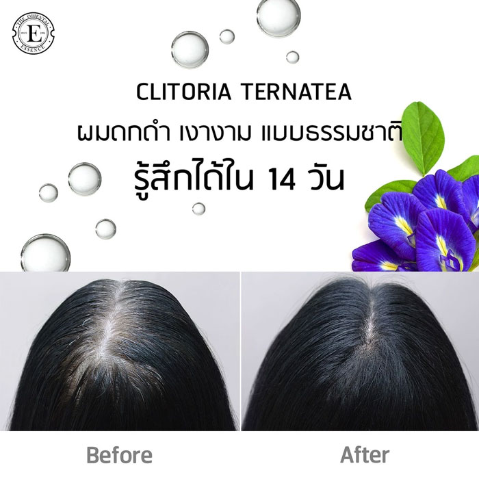 แชมพู The Oriental Essence Clitoria Ternatea Shampoo