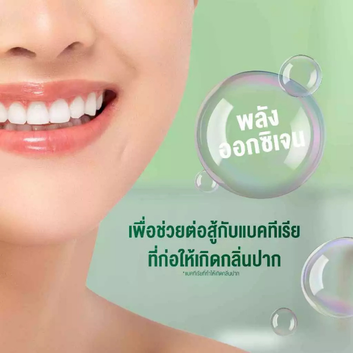 น้ำยาบ้วนปาก TheraBreath Fresh Breath Oral Rinse Mild Mint