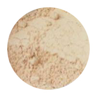 Ultima II Delicate Translucent Face Powder with Moisturizer