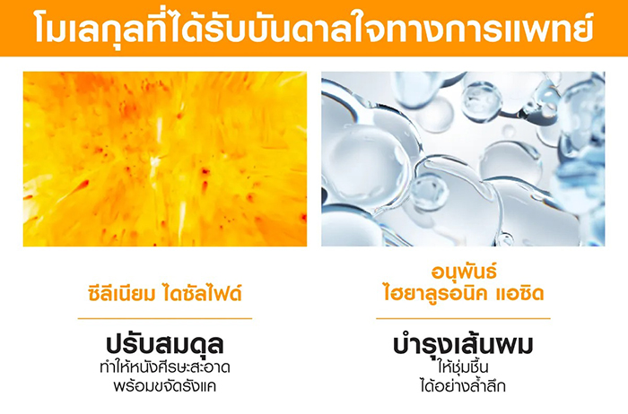แชมพูผสมครีมนวด VICHY Dercos Anti Dandruff DS 2 in 1 Conditioning Shampoo