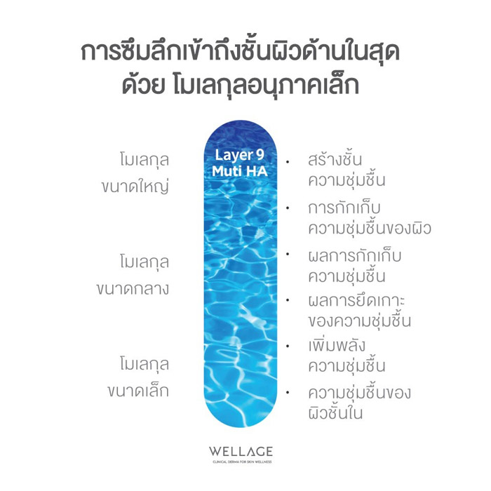 Wellage Real Hyaluronic Blue Ampoule แอมพูลบำรุงผิวหน้า กักเก็บความชุ่มชื้นของชั้นผิว