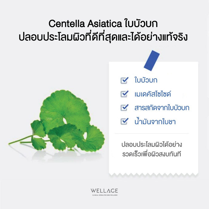 Wellage Real Hyaluronic Gel Cream เจลครีมบำรุงผิว ช่วยปลอบประโลมผิวได้อย่างรวดเร็ว