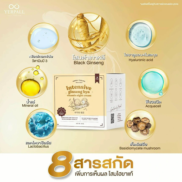 ไนท์ครีม Yerpall Intensive Ginseng Hya Vitamin Night Cream