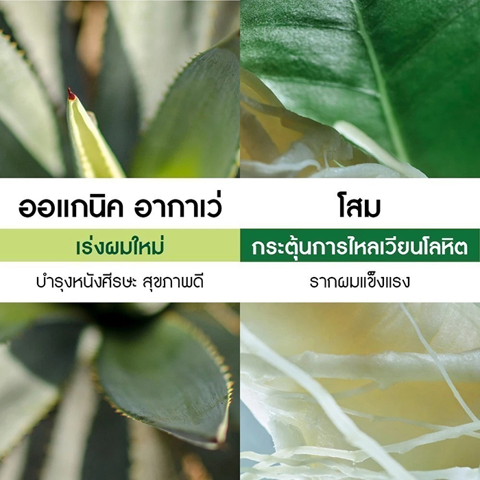 เซรั่มลดผมร่วง Yves Rocher Strength With Ginseng Scalp Booster Serum