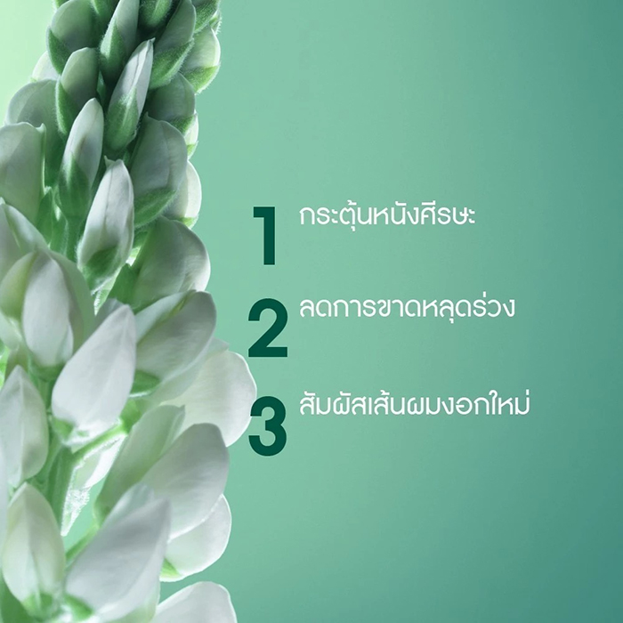 เซรั่มลดผมร่วง Yves Rocher Strength With Ginseng Scalp Booster Serum