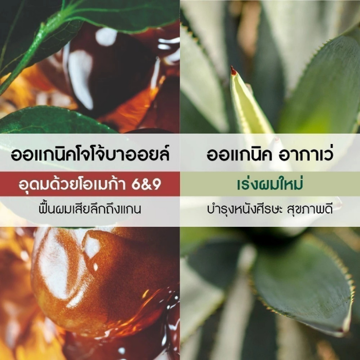 ทรีตเมนต์บำรุงผมแห้งเสีย Yves Rocher Botanical Balm With Organic Jojoba Oil Leave-In Repair Care ทรีตเมนต์บำรุงผมแห้งเสีย Yves Rocher Botanical Balm With Organic Jojoba Oil Leave-In Repair Care