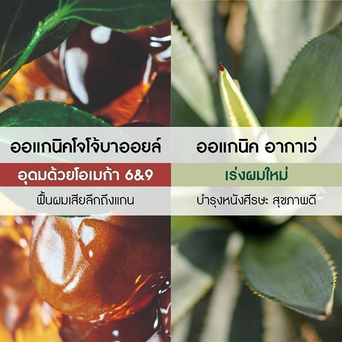 แชมพู Yves Rocher Reparation Repair Shampoo