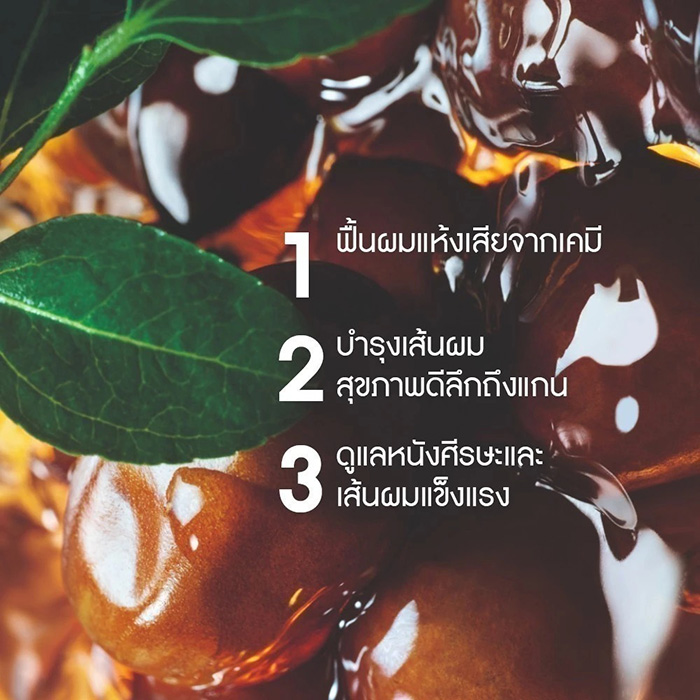 แชมพู Yves Rocher Reparation Repair Shampoo