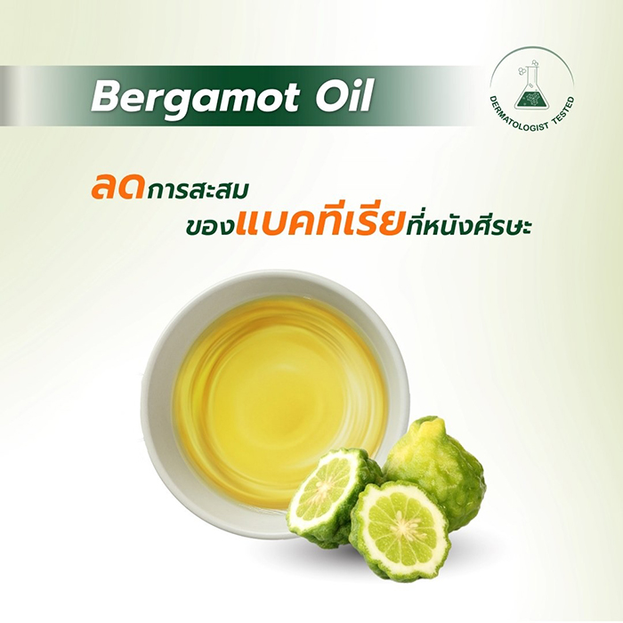 แชมพู ZiiiT Shampoo Acne Scalp Hair