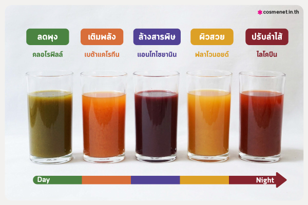 สูตรดีท็อกลำไส้ ลดพุง ด้วยน้ำผักผลไม้ by 5'Cleanse