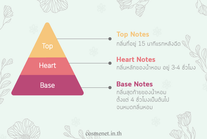 น้ำหอม top notes คืออะไร