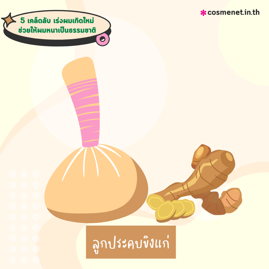 อยากผมหนา ทำไงดี วิธีเร่งผมเกิดใหม่ ให้ผมหนา ดกดำเป็นธรรมชาติ