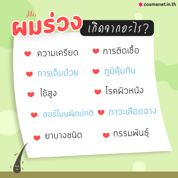 ผมร่วงเยอะมาก ผมร่วงเกิดจาก ผมร่วงสาเหตุ สาเหตุที่ผมร่วง ผมร่วงเพราะฮอร์โมน สาเหตุที่ผมร่วงเยอะ