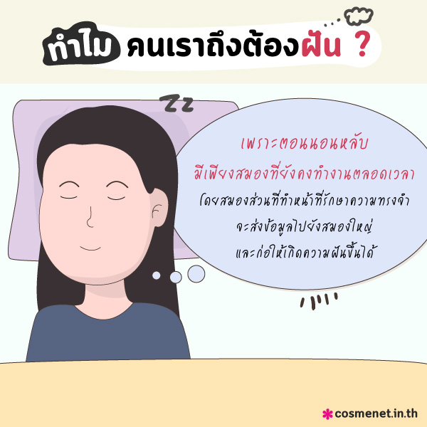 ความฝันกับจิตวิทยา ฝันบอกอะไรเรา ทำไมคนเราต้องฝัน