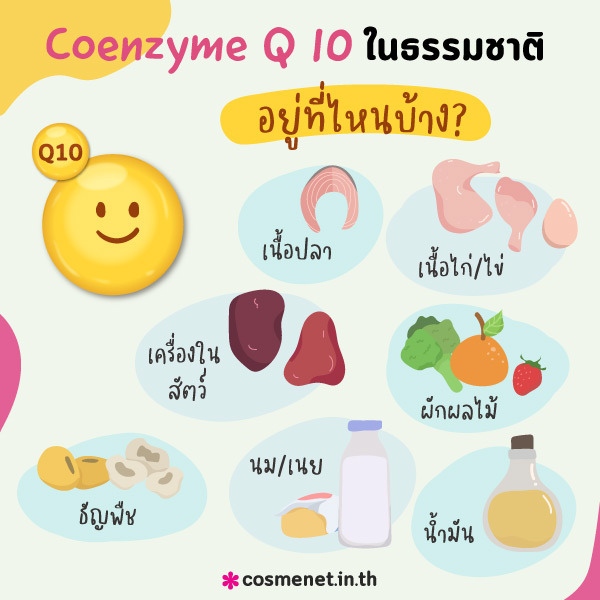 coenzyme q10 คือ, โคเอนไซม์คิวเท็น, q10 ช่วย เรื่อง, ลดริ้วรอย, q10 ช่วยเรื่อง, คิวเท็น คือ, q10 ช่วย อะไร ผิว,