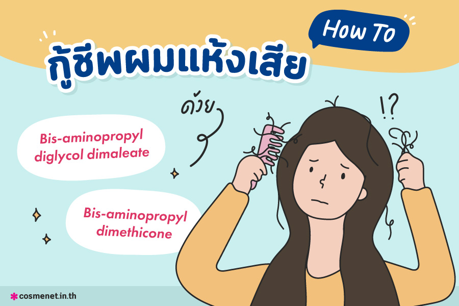 ผมแห้งเสีย ผมแห้งเสียแตกปลาย ผมชี้ฟู ใช้อะไรดี