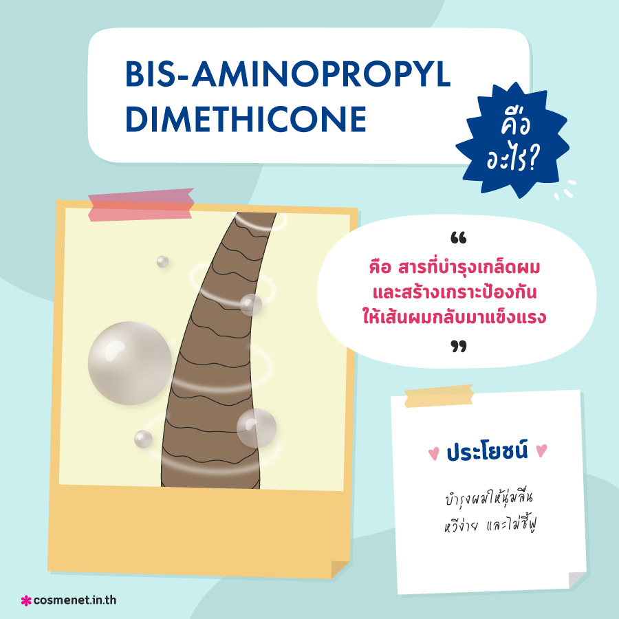 ผมแห้งเสีย ผมแห้งเสียแตกปลาย ผมชี้ฟู ใช้อะไรดี