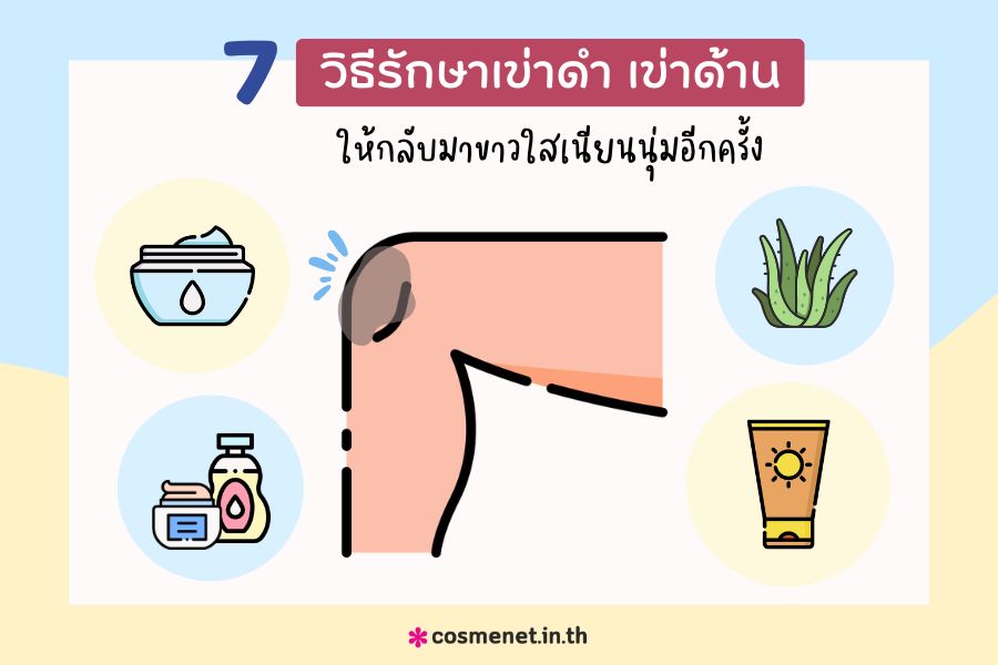 หัวเข่าดำ