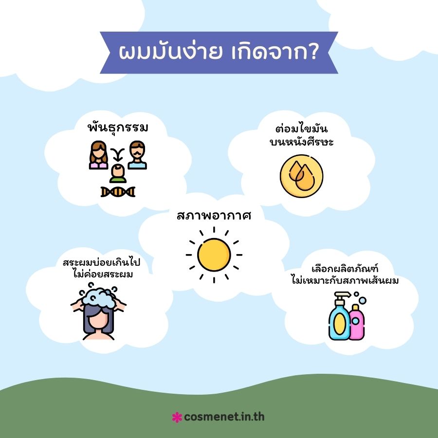 ผมมันง่าย เกิดจาก?